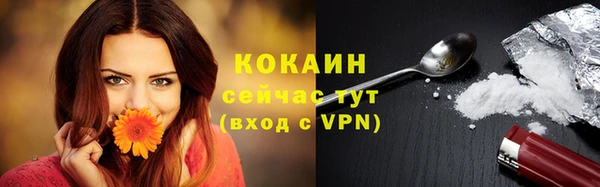 хмурый Липки